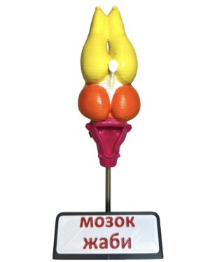 Мозок тварин (набір з 8 шт.) от интернет-магазина Umag фото 18
