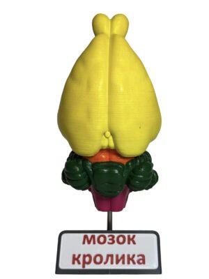 Мозок тварин (набір з 8 шт.) от интернет-магазина Umag фото 14