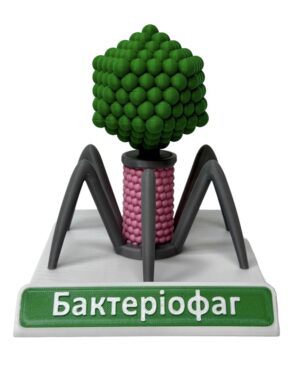 Набір обʼємні моделі комплект вірусів (аденовірус, бактеріофаг, вірус СНІД, вірус тютюнової мозаїки) от интернет-магазина Umag фото 10