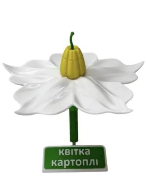 Квітка картоплі | Umag Квітка картоплі від інтернет-магазину Umag